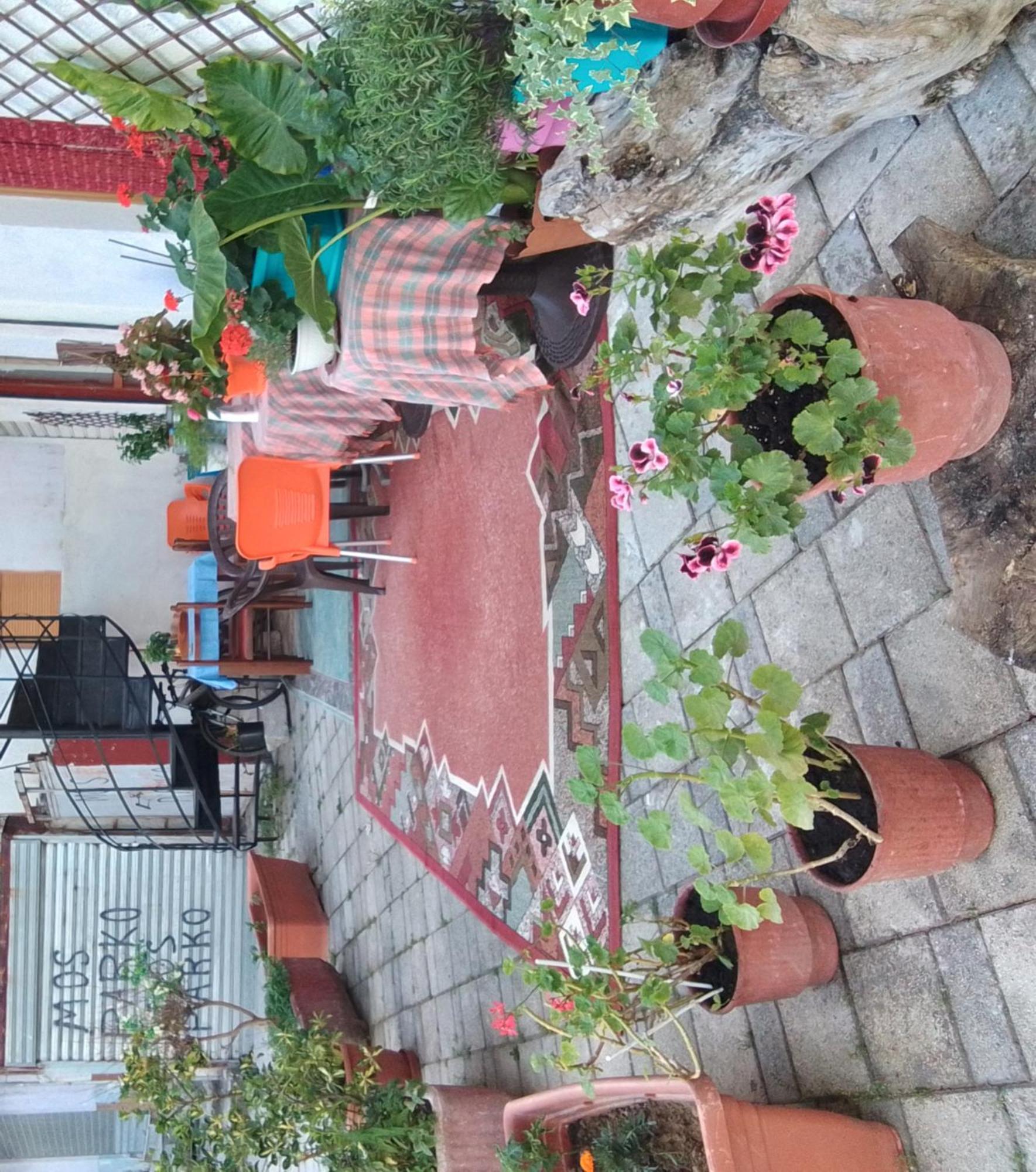 Casa Mia Hostel วญอเรอ ภายนอก รูปภาพ
